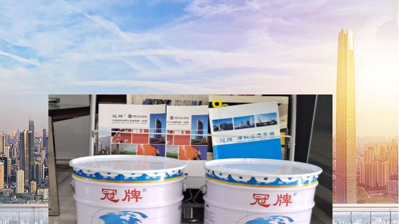 多乐士哑光墙面漆：价格背后的价值考量**